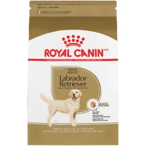 royal canin labrador adult