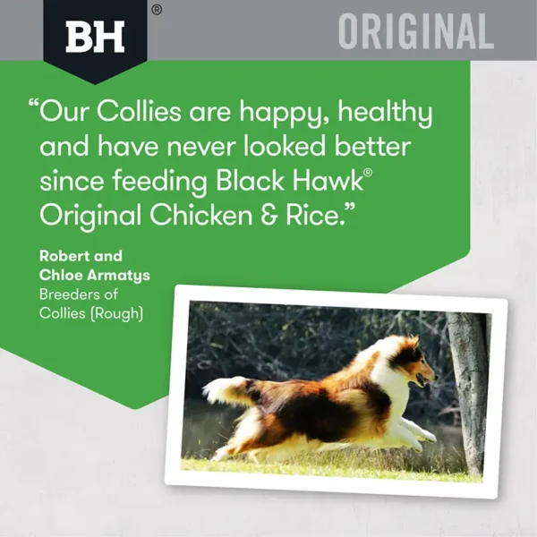 black hawk dog food adult chicken and rice – 3kg