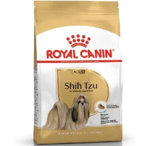 adult shih tzu