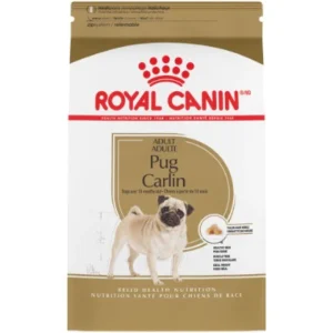 pug adult 1.5kg