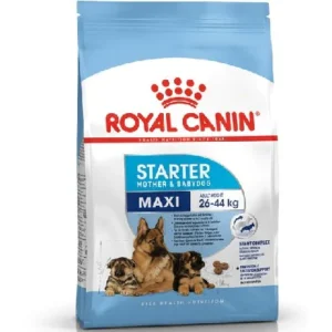 royal canin maxi starter 4kg mother and puppy